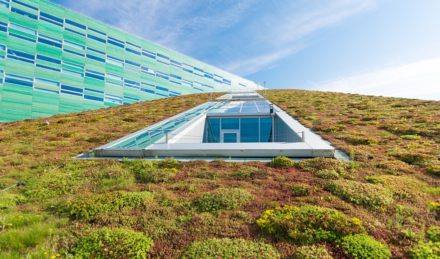 green-roof-EU-1