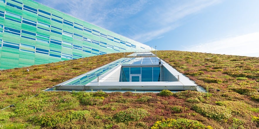 green roof